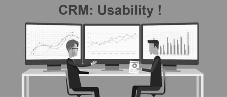 CRM-Einführung Microsoft