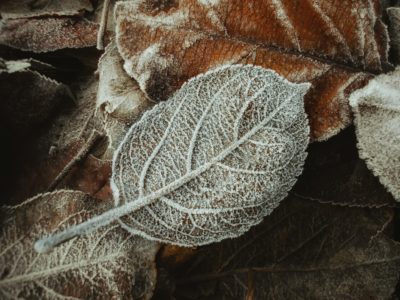 Portfolio-Bereinigung